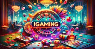 555bet login